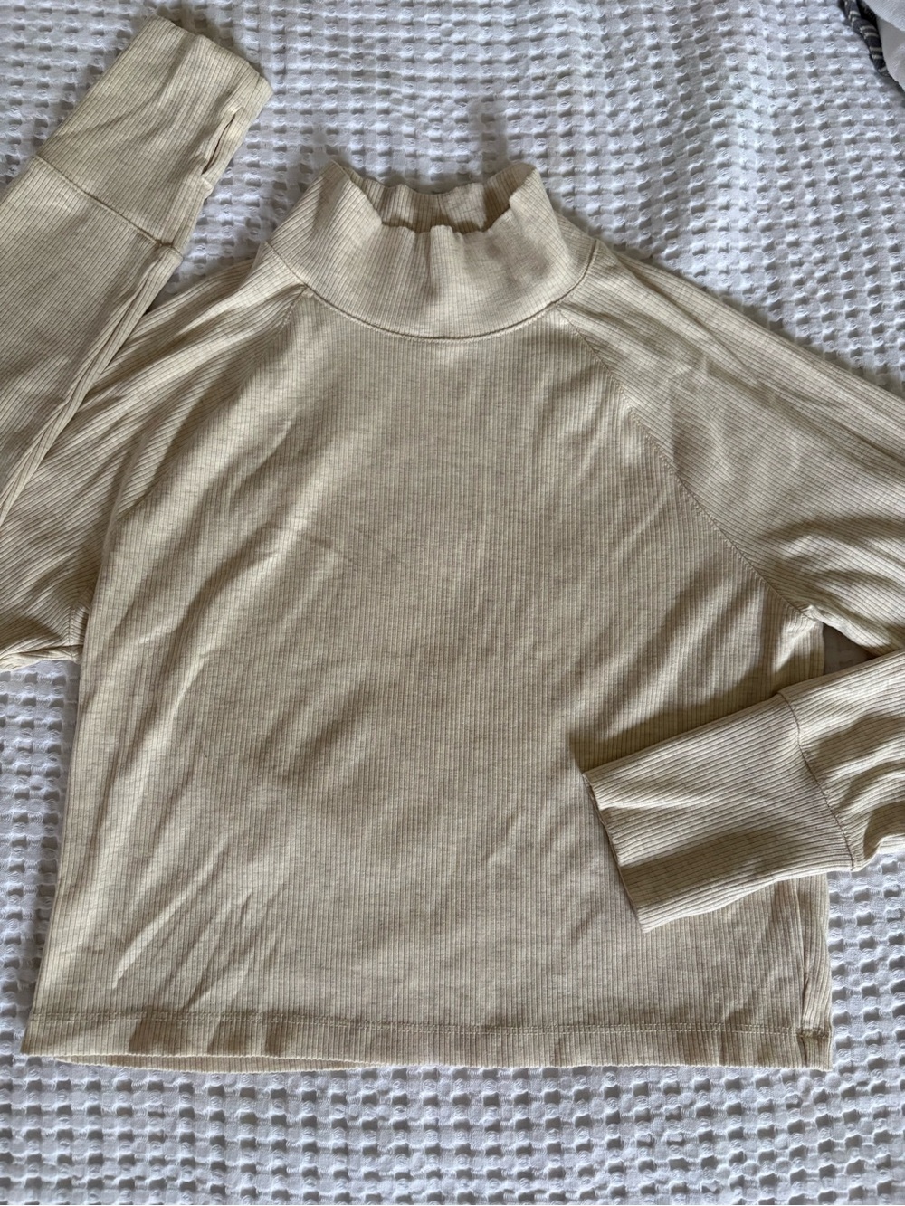 Aerie Ribbed Mock Neck Long-Sleeve Top in Cream